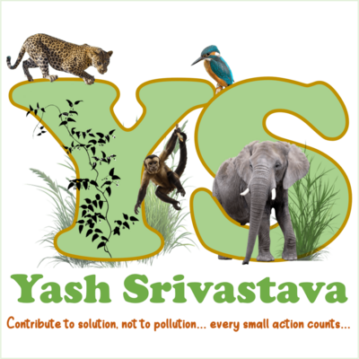 Yash Srivastava Logo